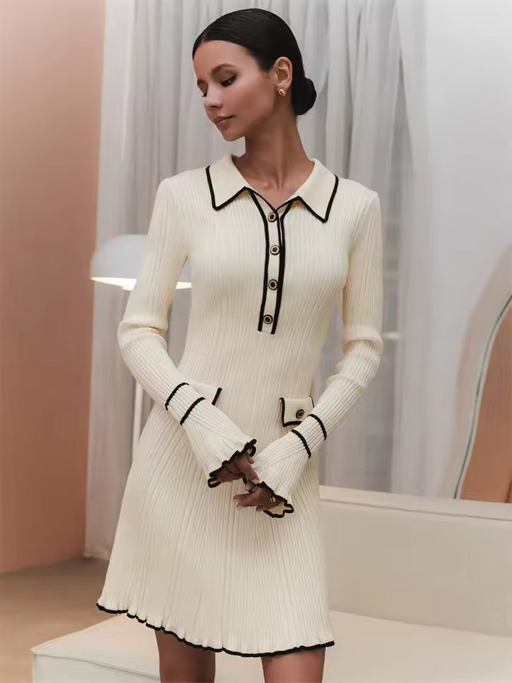 Amoria Contrast Knit Mini Dress