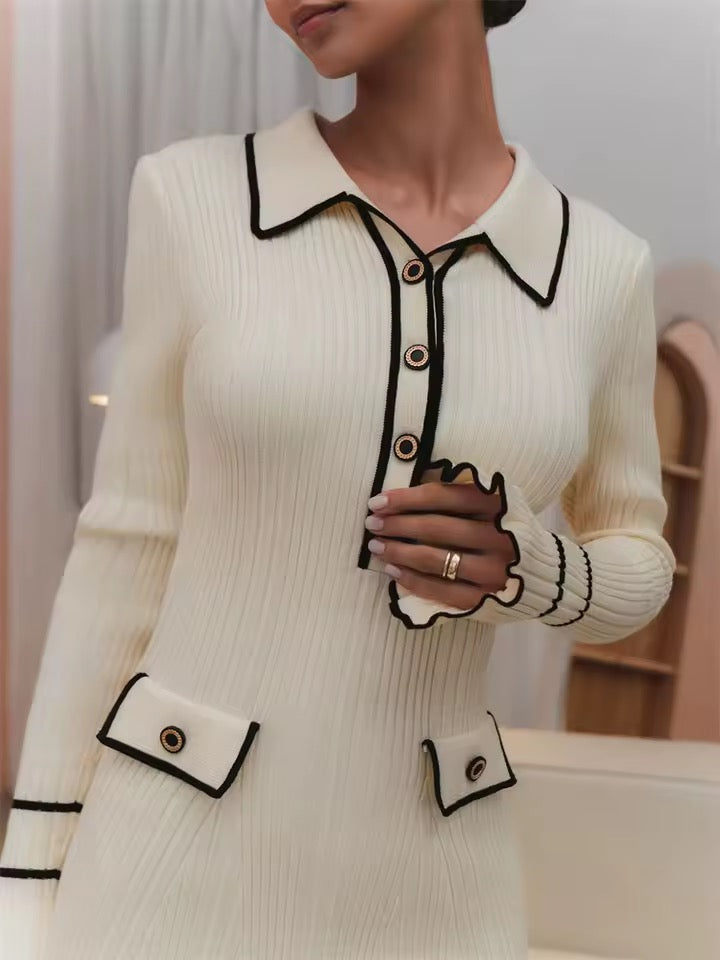 Amoria Contrast Knit Mini Dress